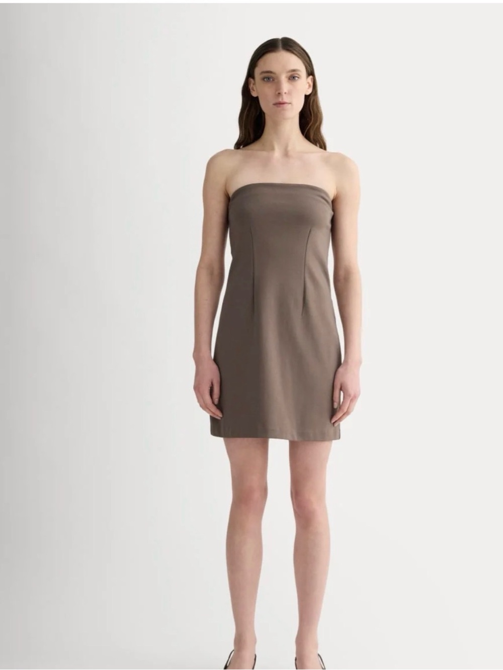 Everlane Strapless Taupe Shift Dress